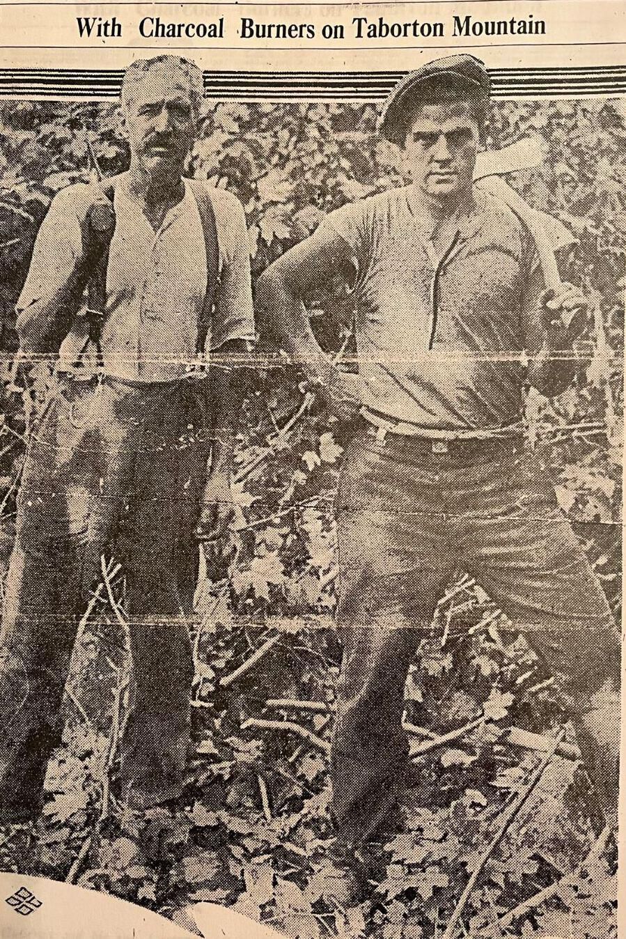 Businesses and Occupations