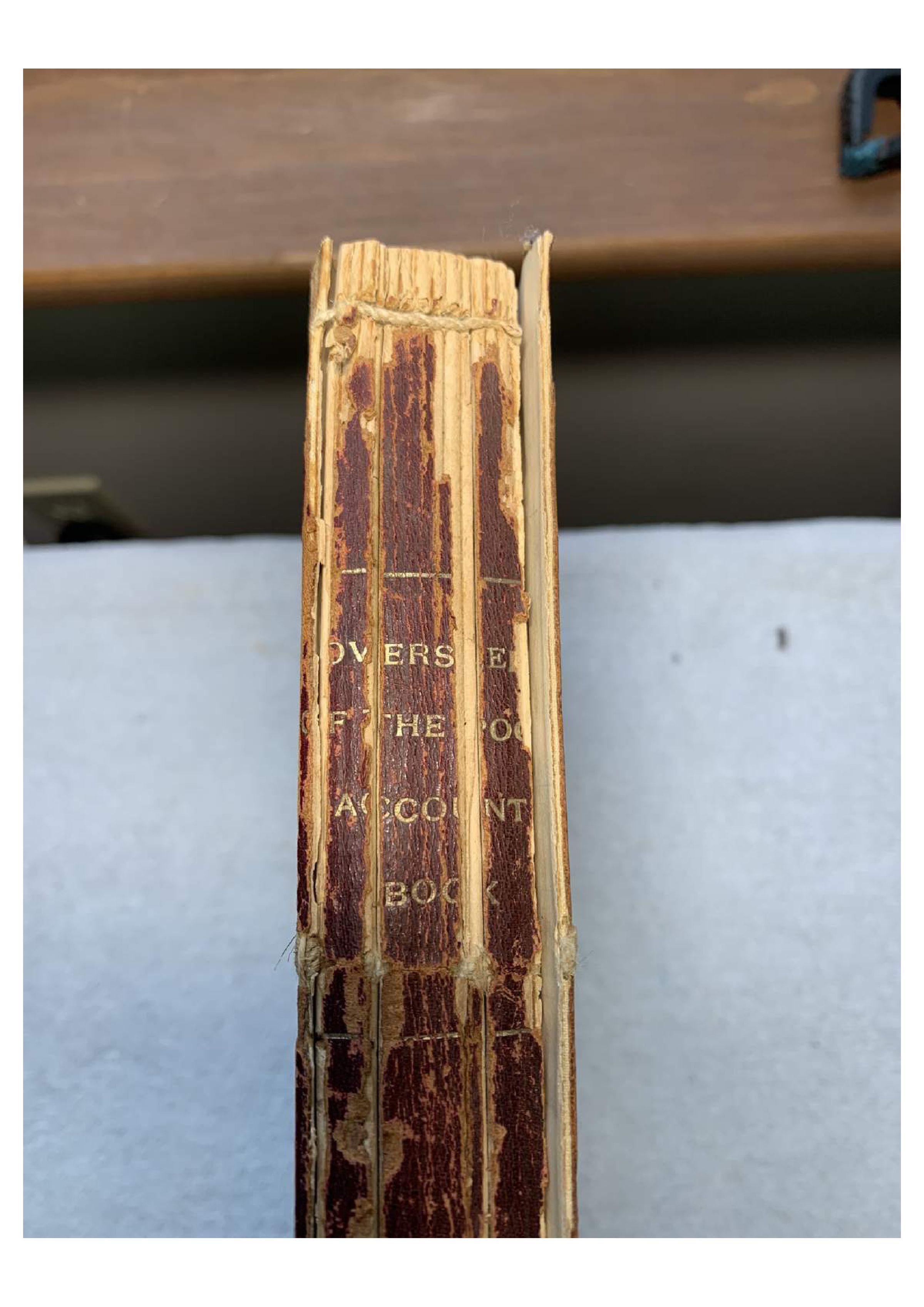 1895-1934 Overseers of the Poor Accounting Ledger: Forty-page downloadable PDF of example entries.