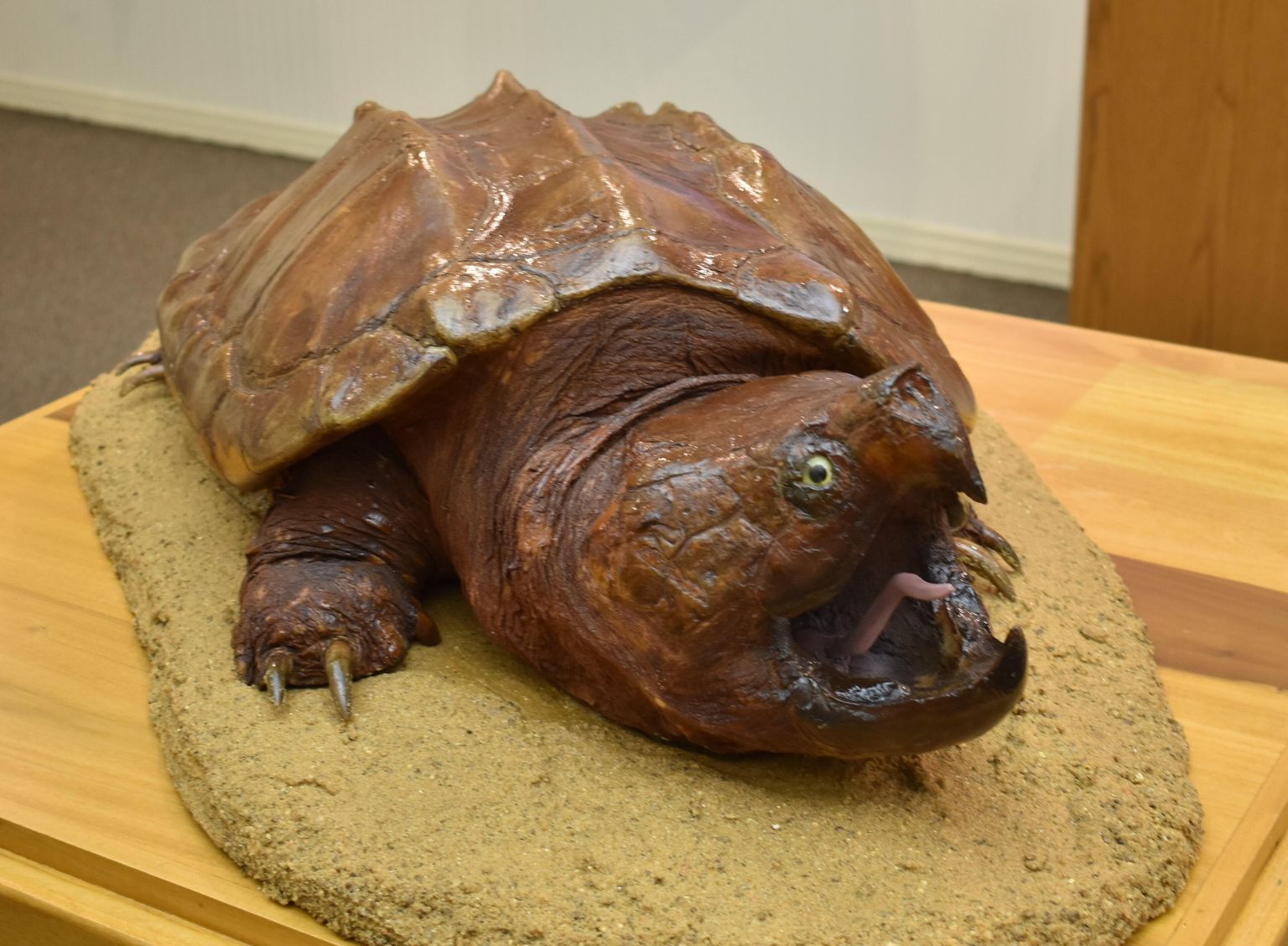 Hatchie River Room Collections