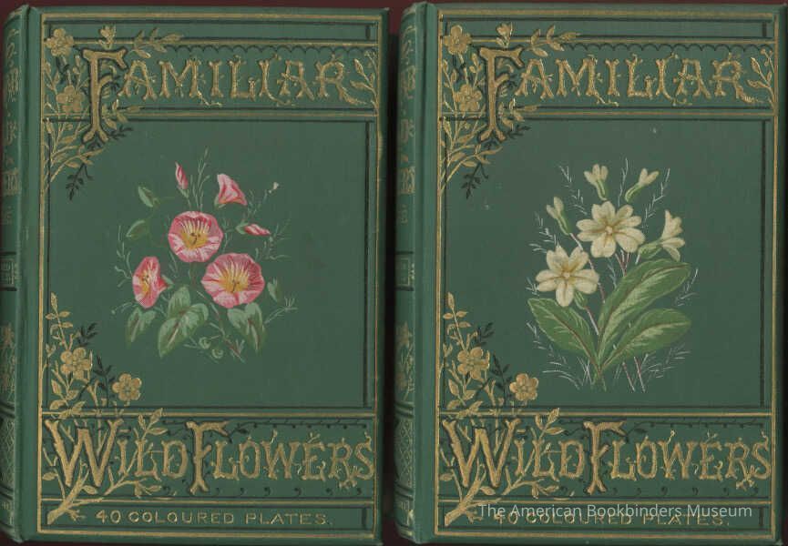 Familiar Wild Flowers Figured and Described / F. Edward Hulme picture number 1