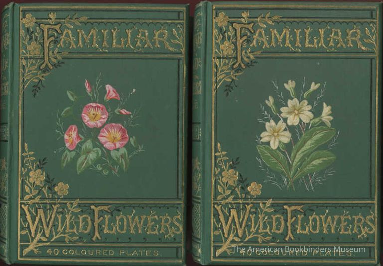          Familiar Wild Flowers Figured and Described / F. Edward Hulme picture number 1
   