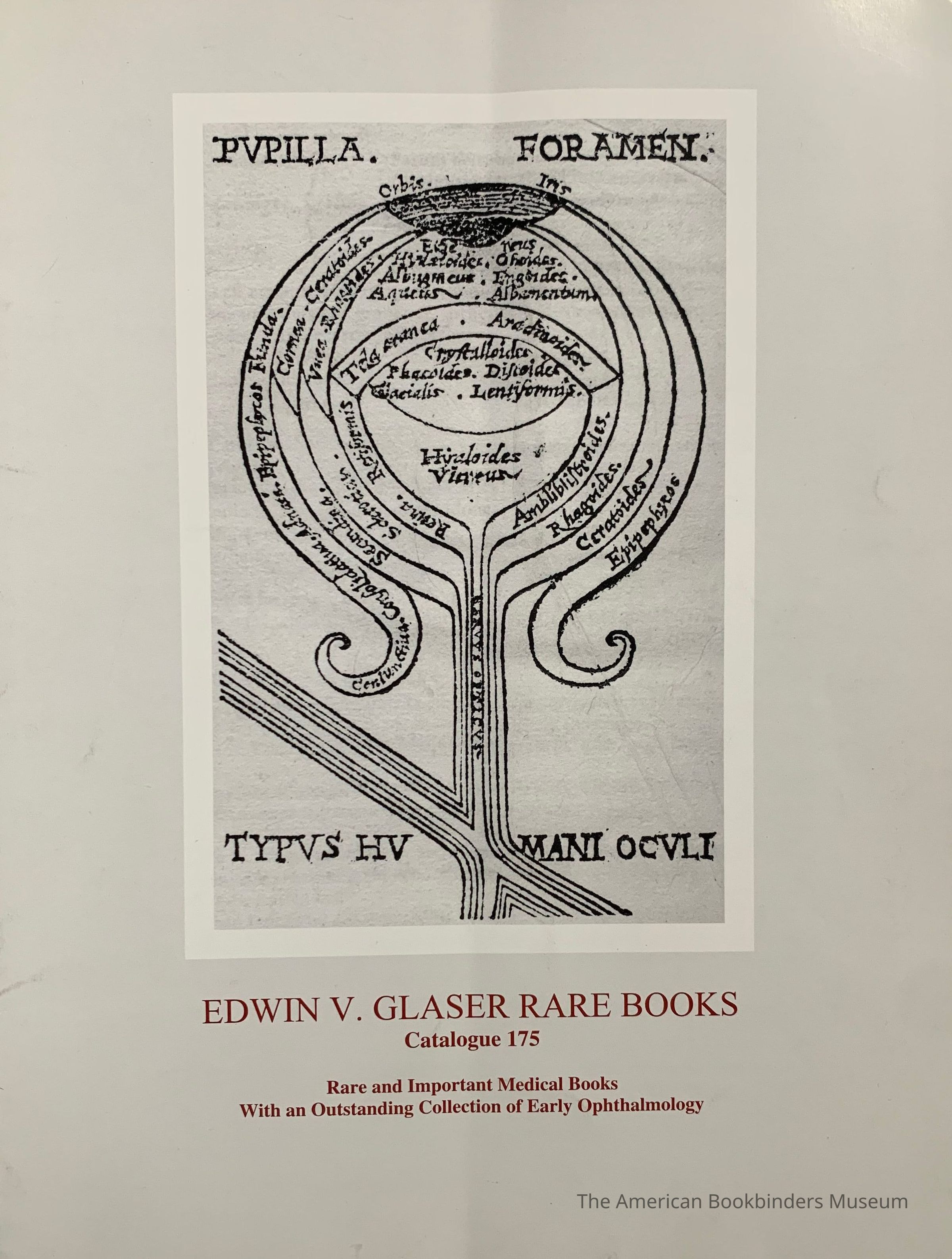          Edwin V. Glaser Rare Books : Catalogue 175 picture number 1
 