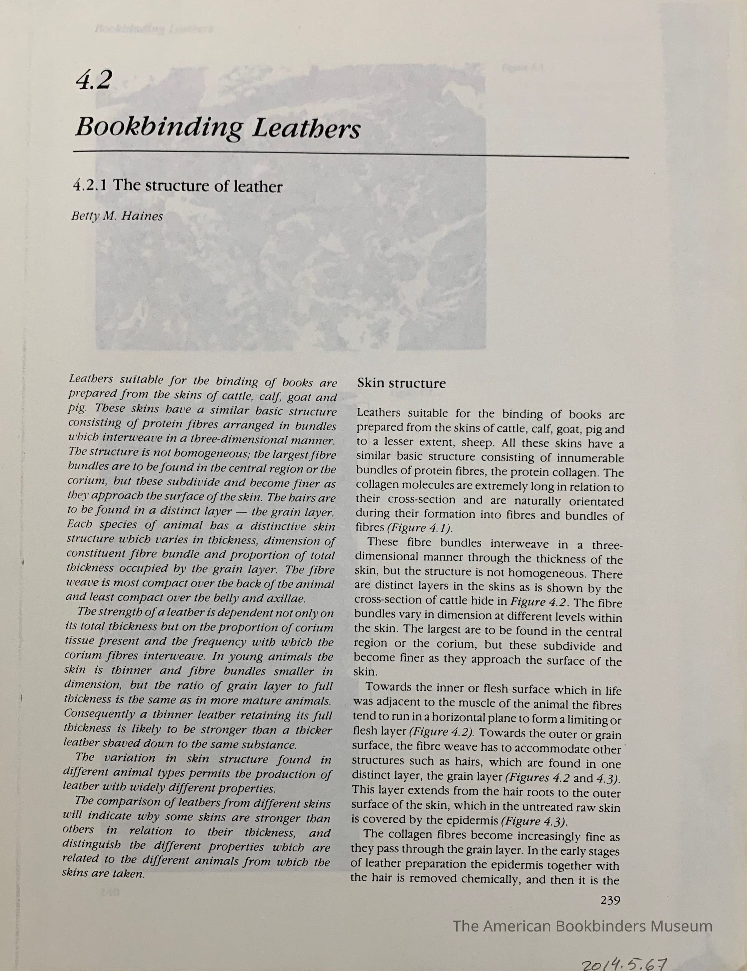          Bookbinding Leathers : 4.2.1 the structure of leather / by Betty M. Haines. picture number 1
 