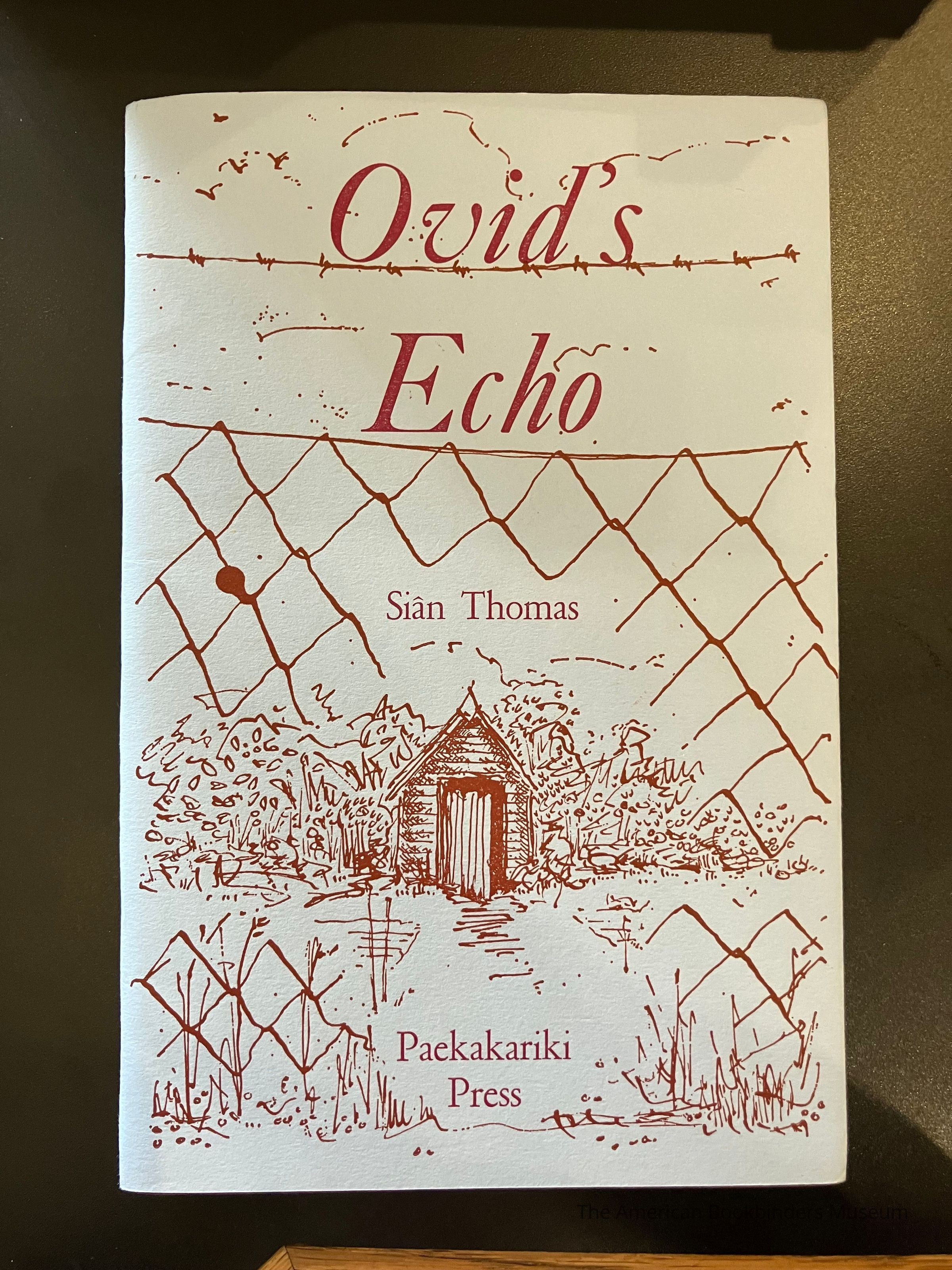          Ovid's Echo / Siân Thomas picture number 1
 