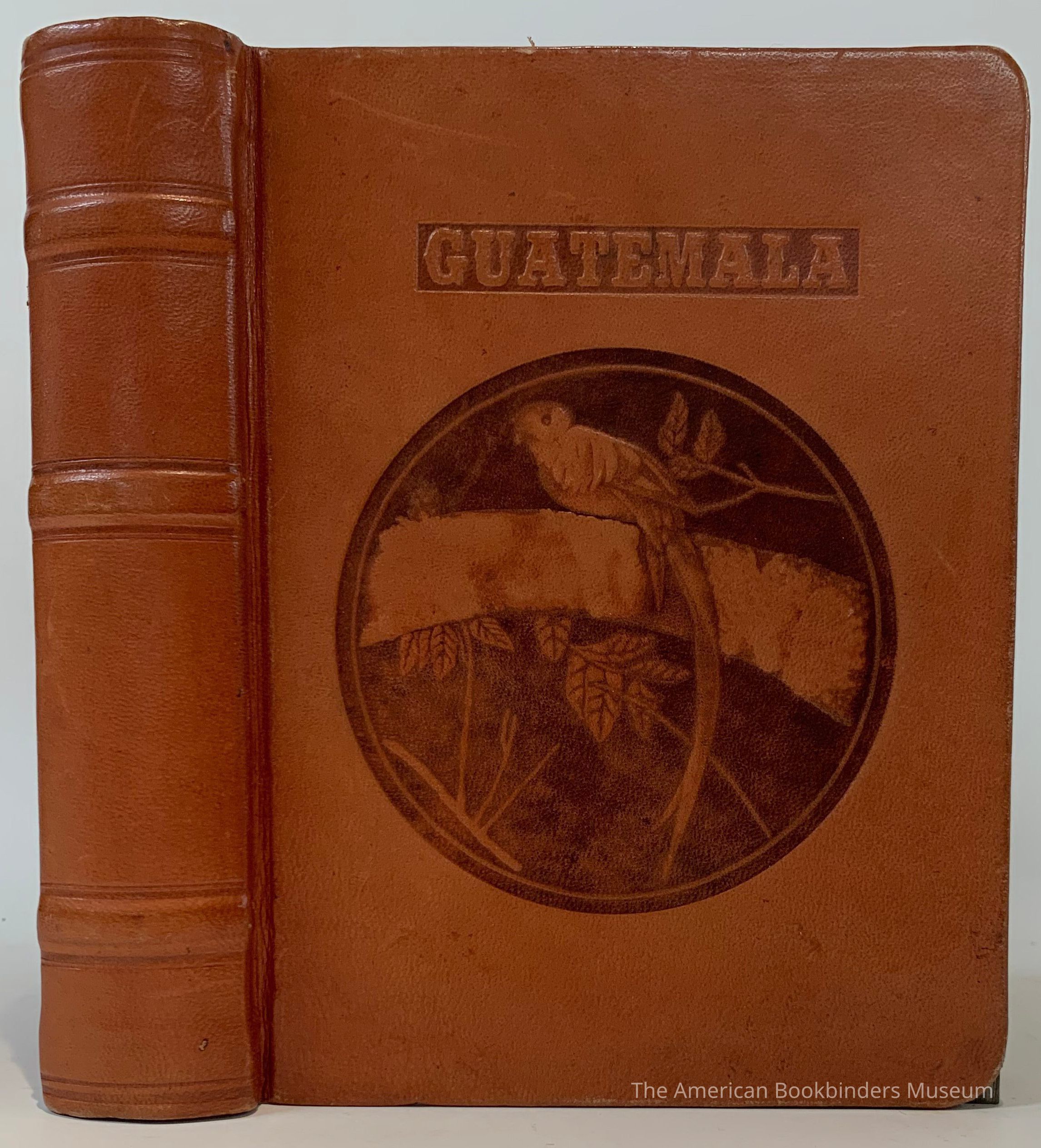          Guatemala [book box] picture number 1
 