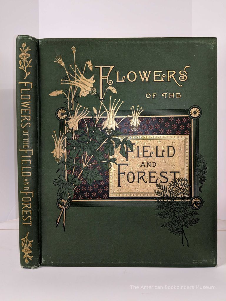          Flowers of the Field and Forest From Original Water-Color Drawings After Nature by Isaac Sprague / Reverend A.B. Hervey picture number 1
   