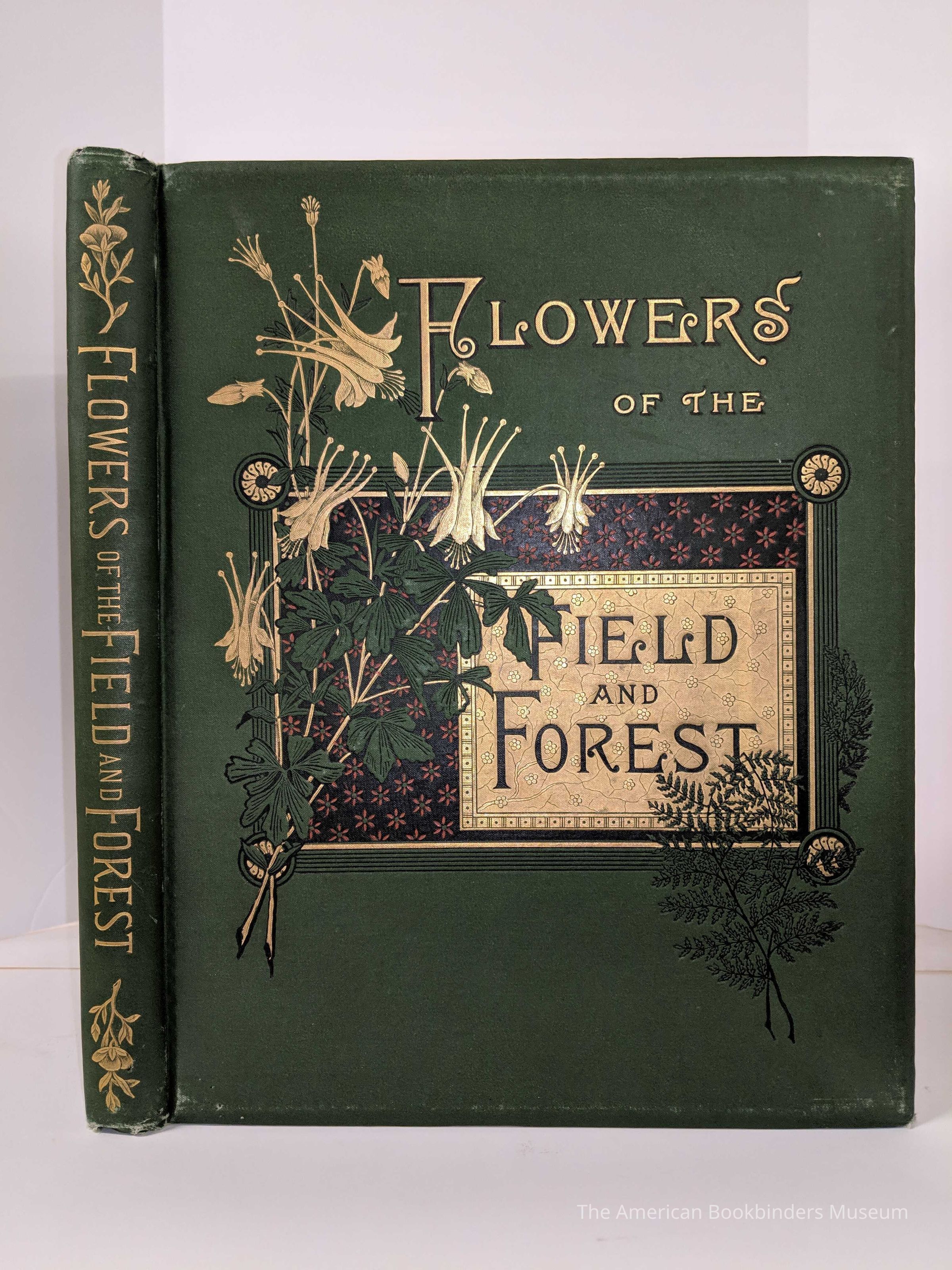 Flowers of the Field and Forest From Original Water-Color Drawings After Nature by Isaac Sprague / Reverend A.B. Hervey picture number 1