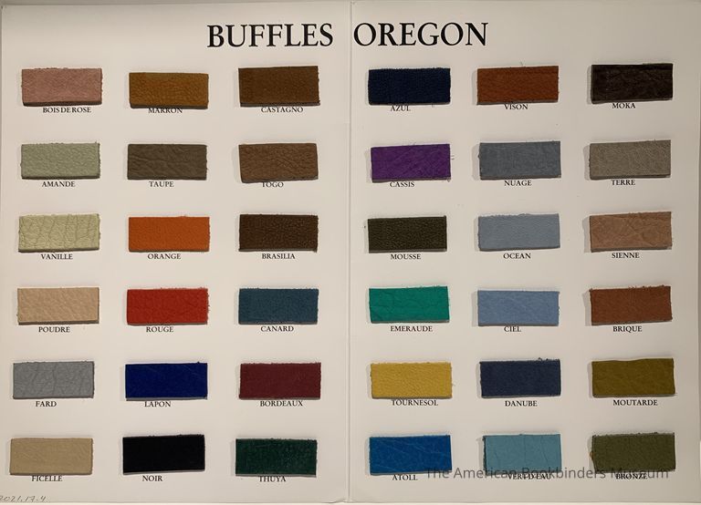          Remy Carriat : Buffles oregon picture number 1
   