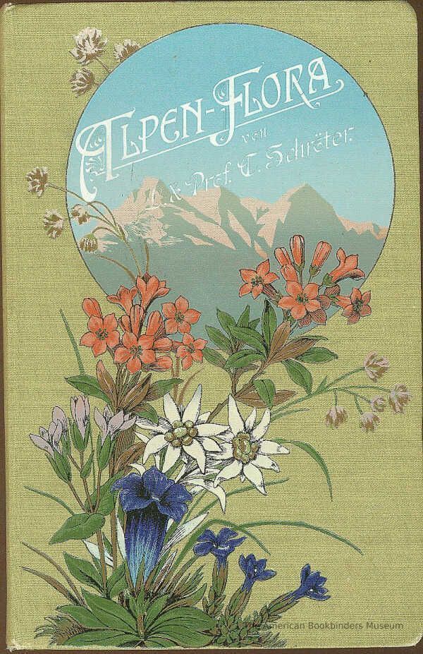          Taschenflora des Alpen-Wanderers / C. Schröter picture number 1
   