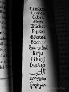 BABEL baja picture number 1