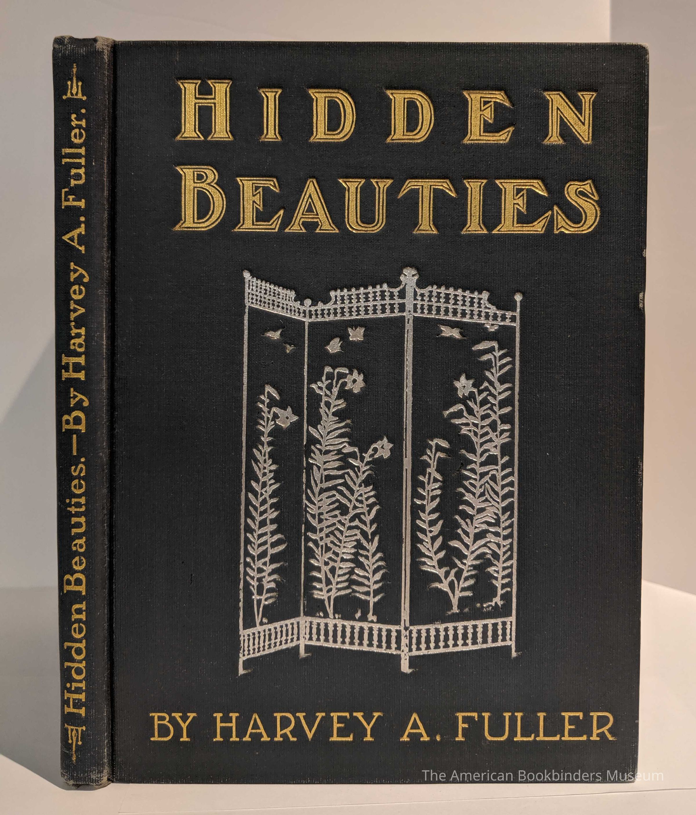          Hidden Beauties / Harvey A. Fuller picture number 1
   