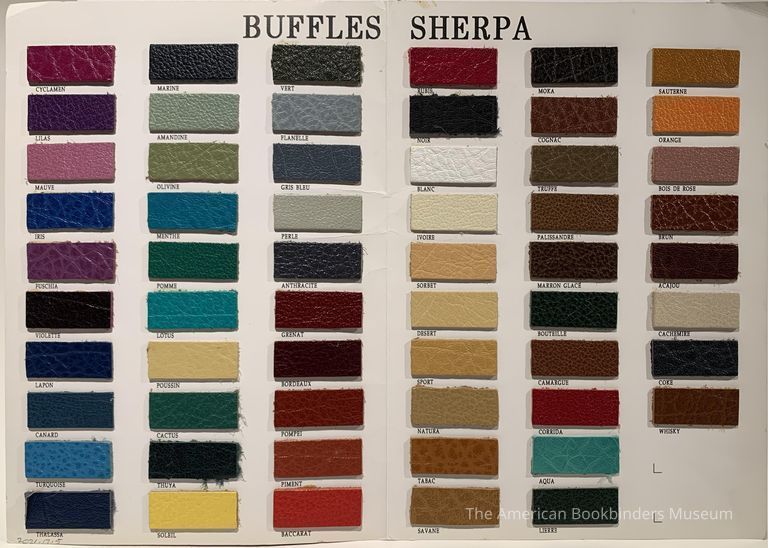          Remy Carriat : Buffles sherpa picture number 1
   