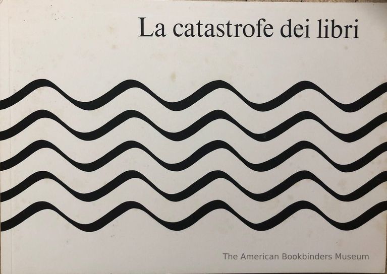          La catastrofe dei libri picture number 1
   