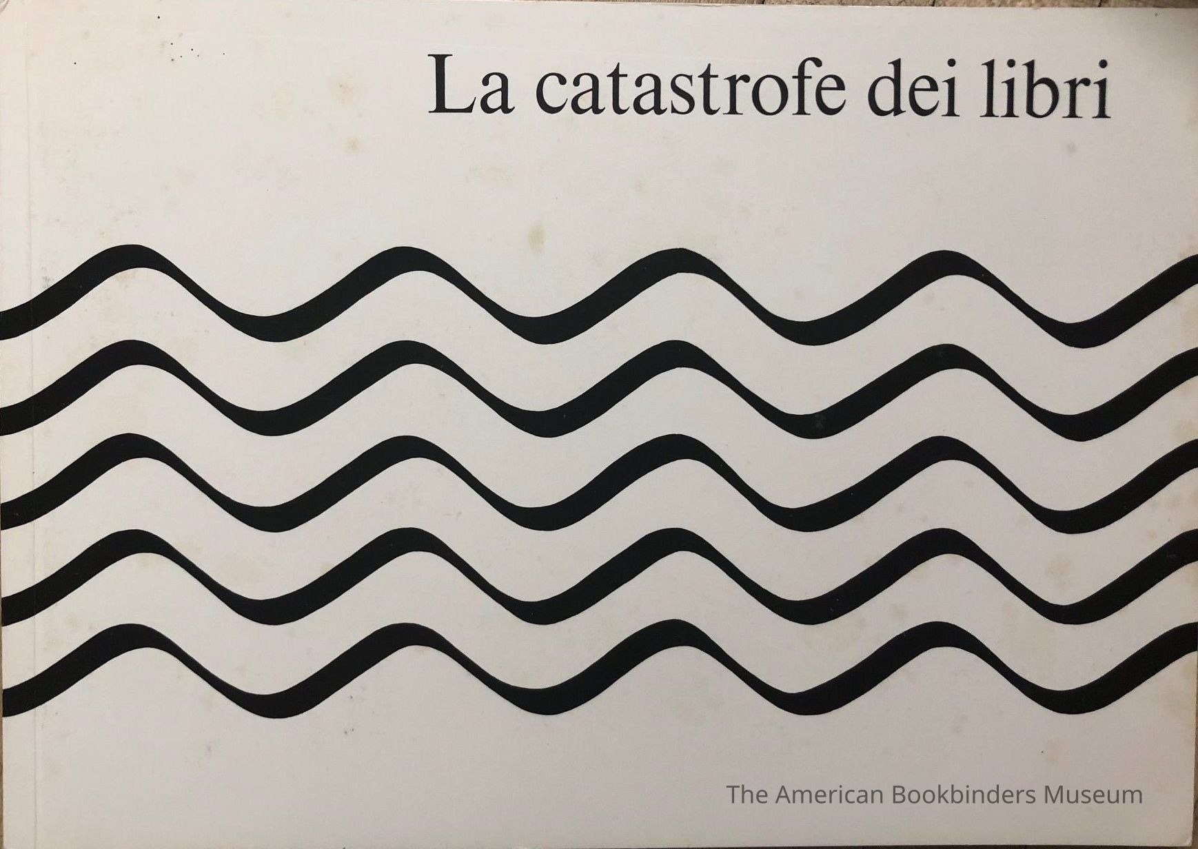 La catastrofe dei libri picture number 1