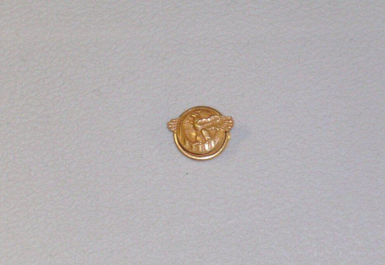          1000161 Pin, Lapel
   