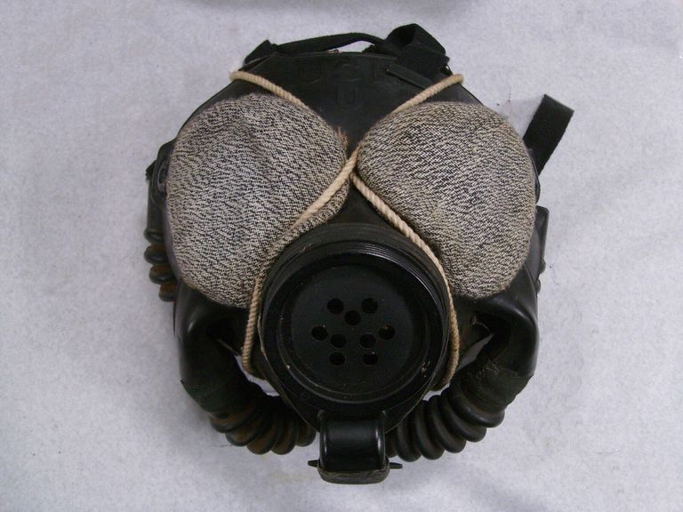          3000203 US Navy Gas Mask, front
   