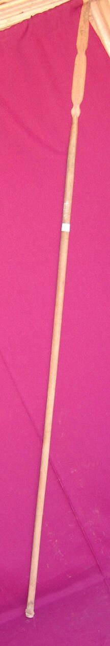 Spear - Image 2