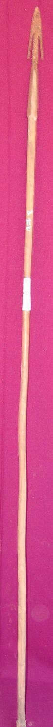 Spear - Image 2