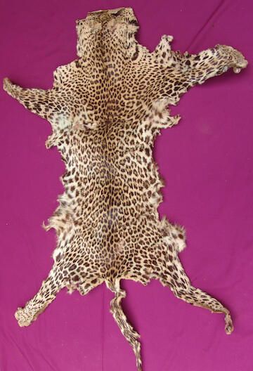 Leopard skin