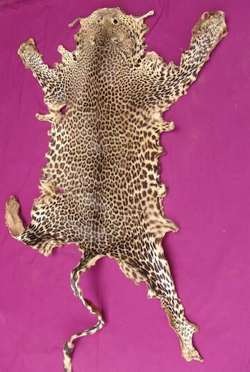 Leopard skin