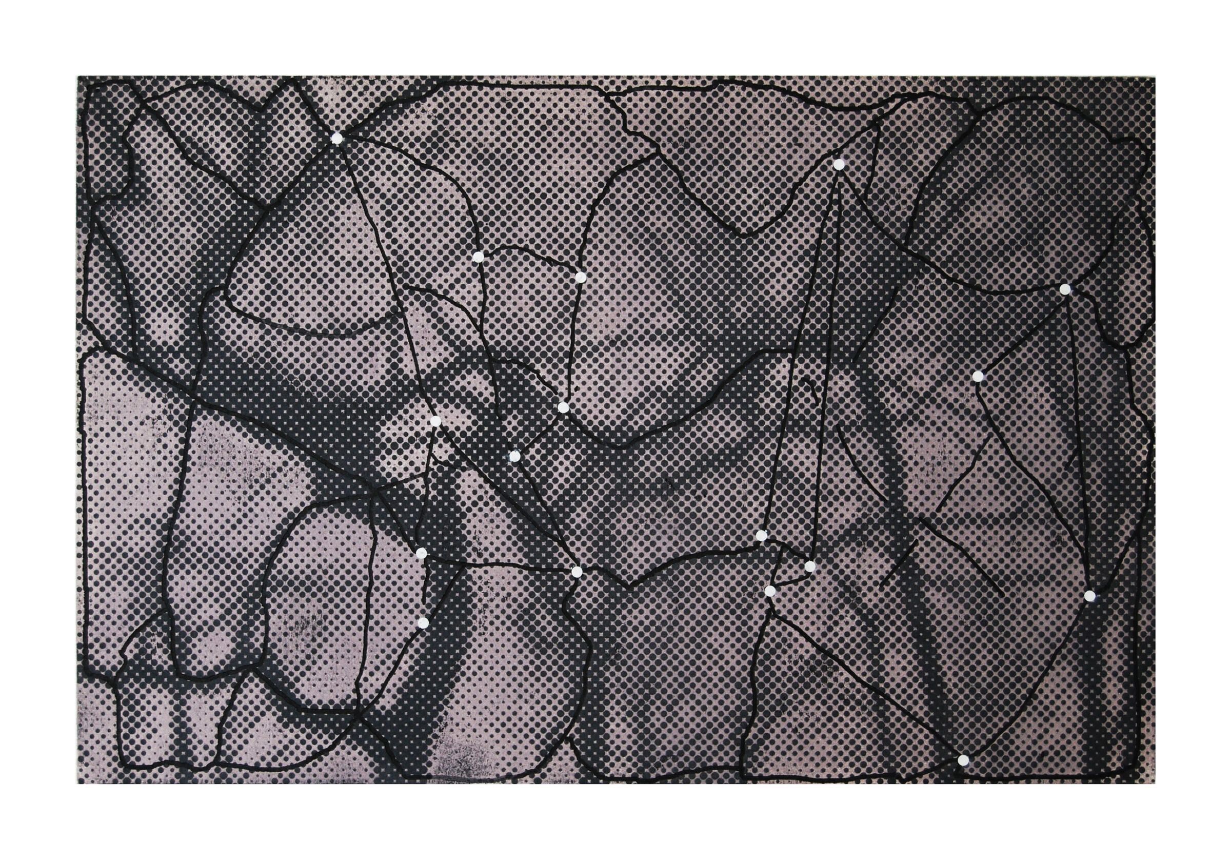 Canopy III picture number 1