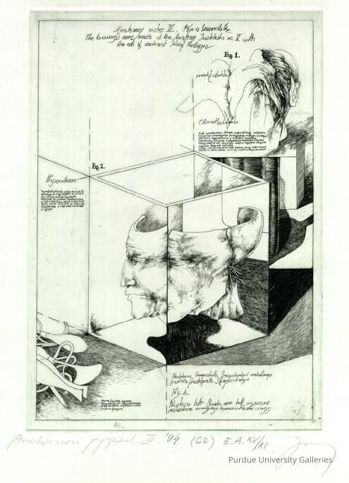 Anatomical Notes III picture number 1