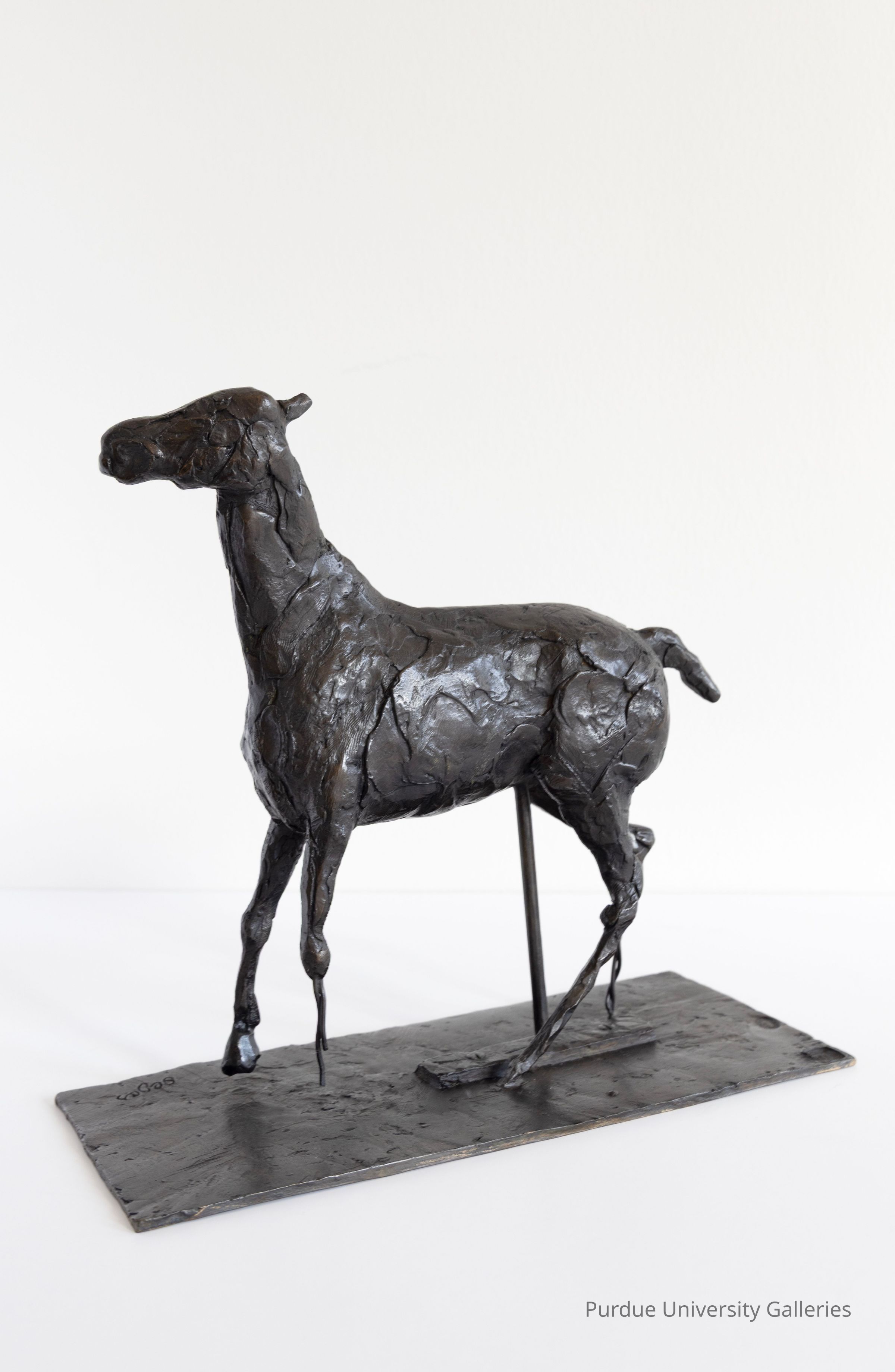 © Purdue University Galleries/Eli Craven and Bayan Yunis