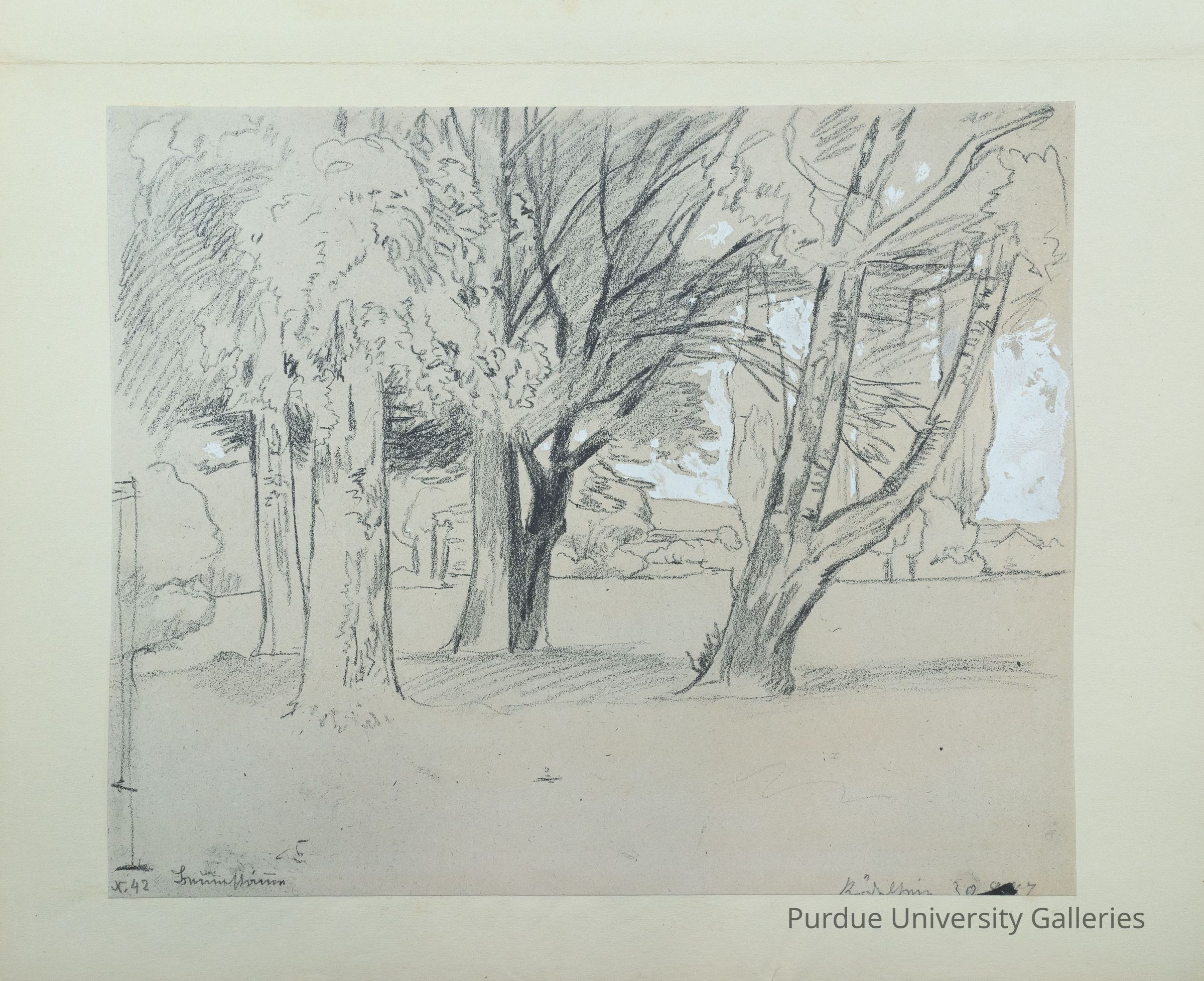 Baumstämme (Tree Trunks) picture number 1