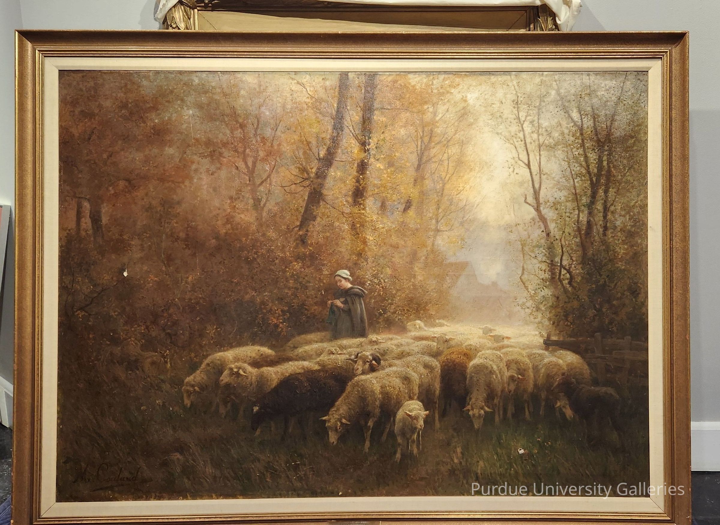Berger et Moutons picture number 1