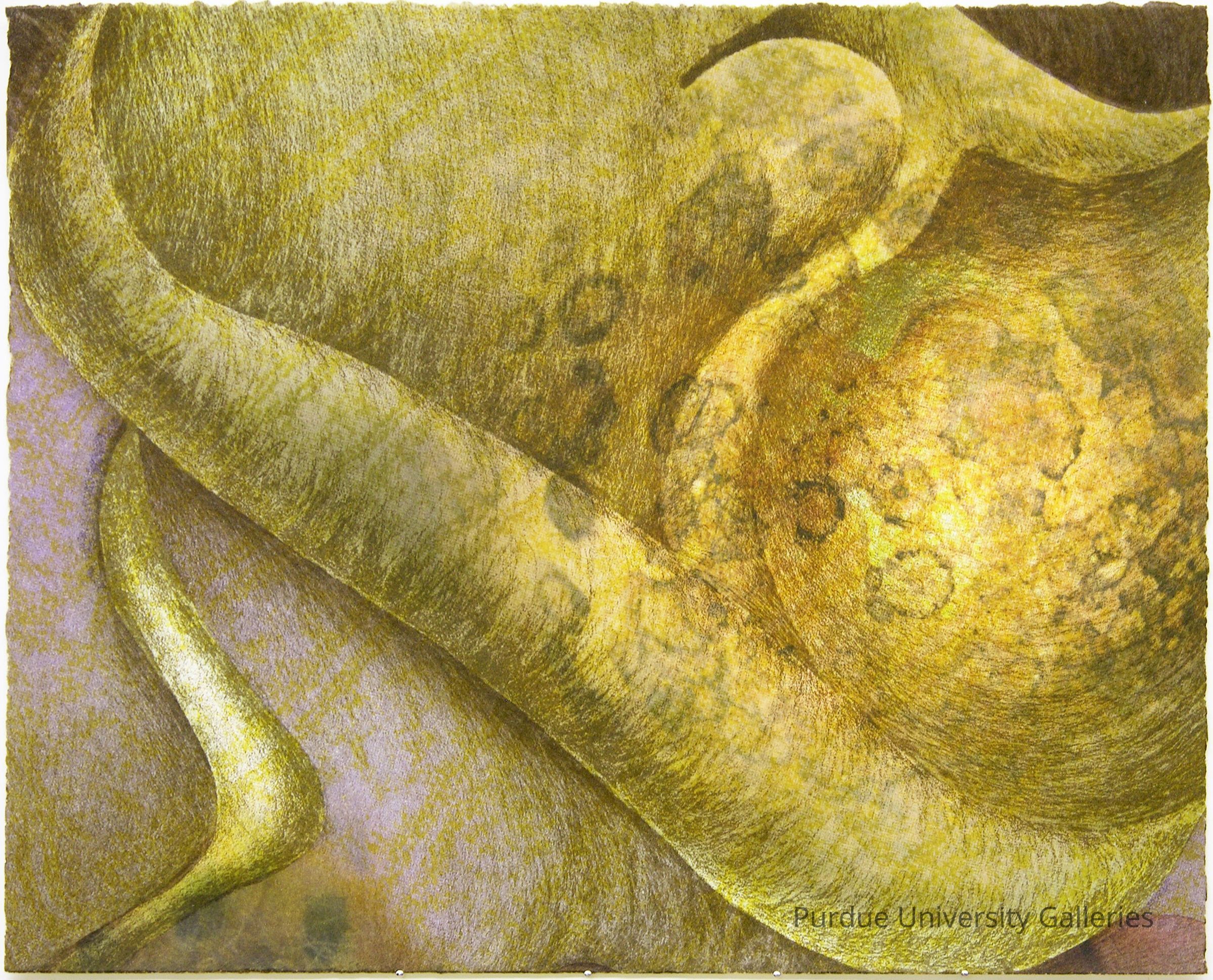 Aleph/Emergence/Mold picture number 1