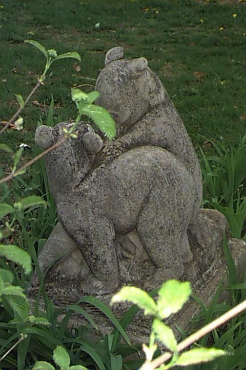 Bear Cubs picture number 1