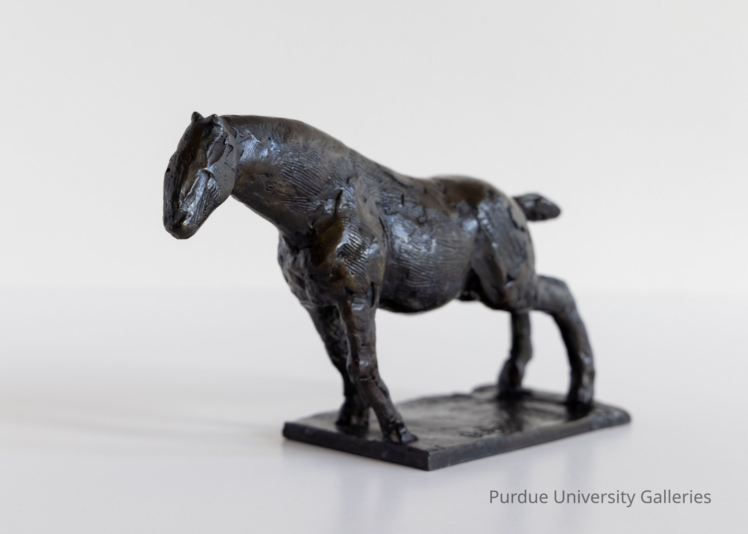 © Purdue University Galleries/Eli Craven and Bayan Yunis