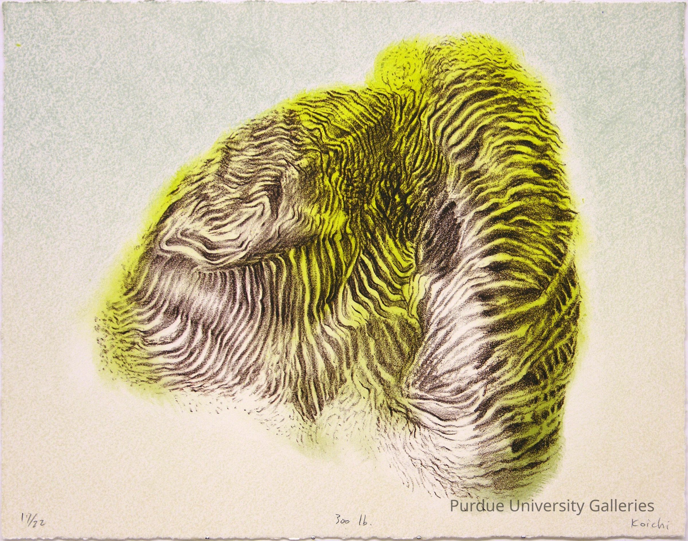 300 lb picture number 1