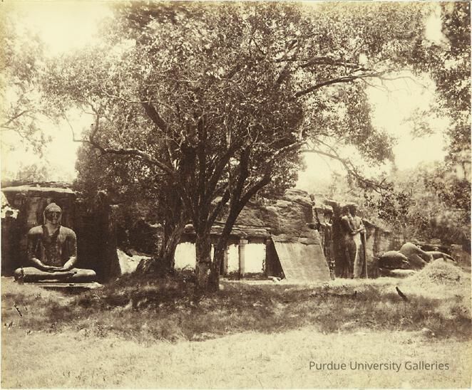 Ceylon picture number 1