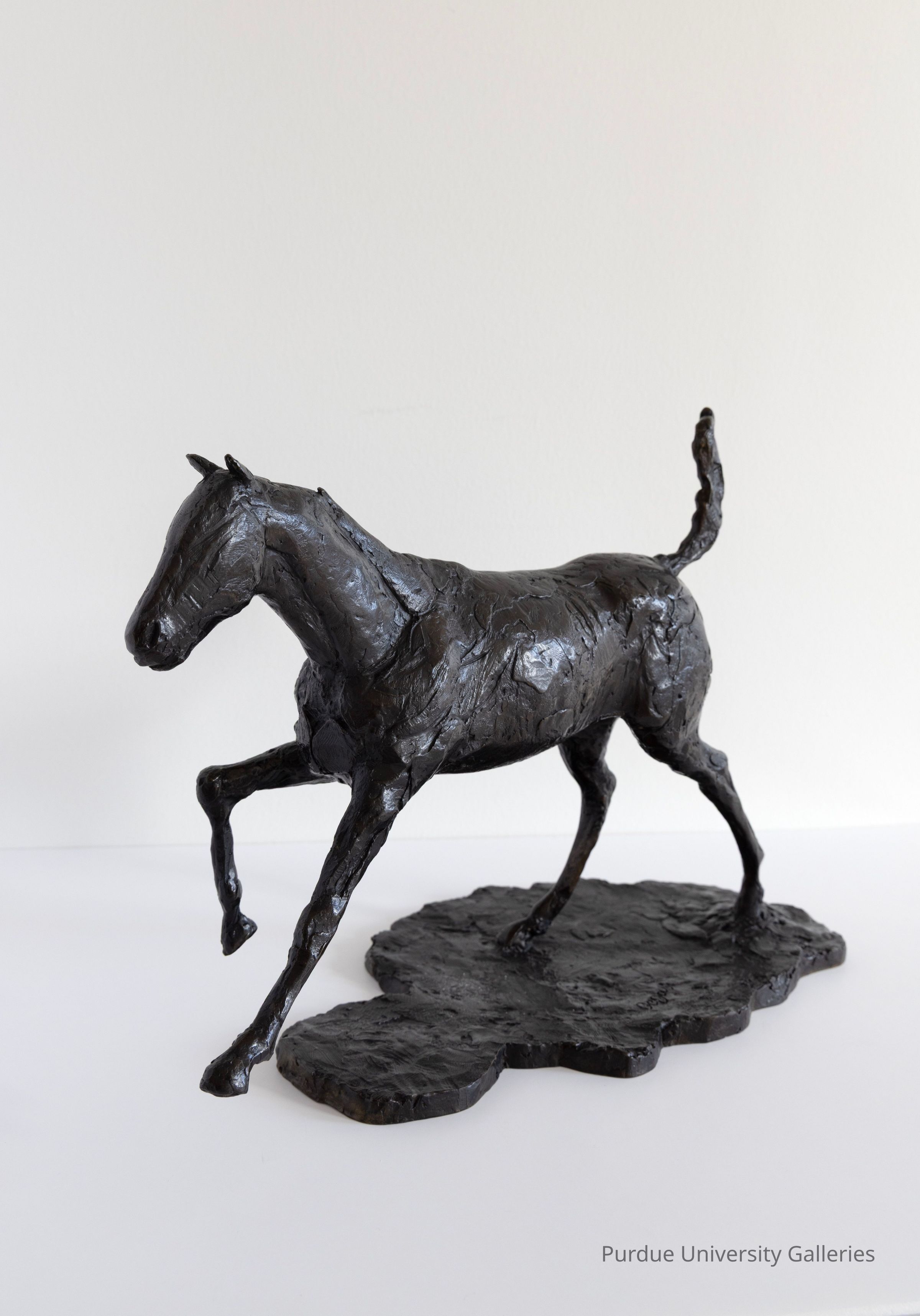 © Purdue University Galleries/Eli Craven and Bayan Yunis