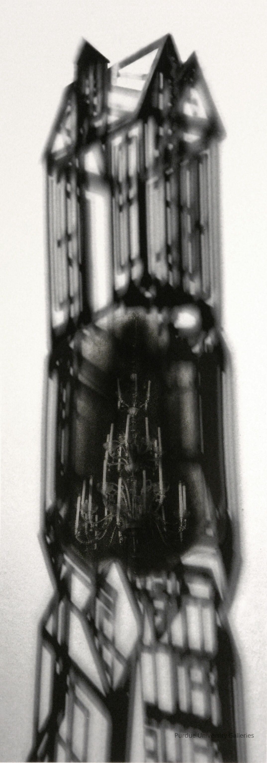 Cage picture number 1