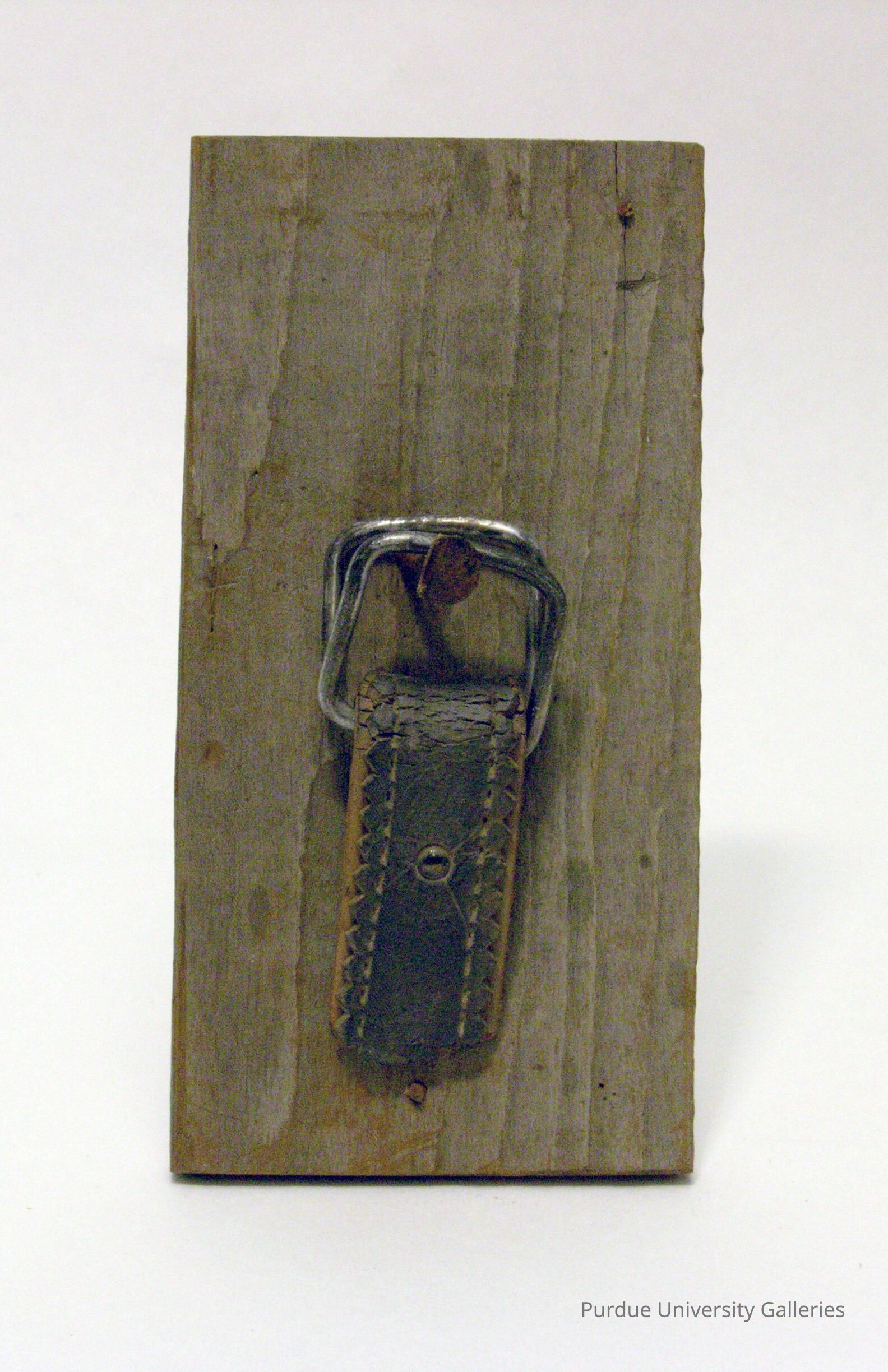 Strap picture number 1