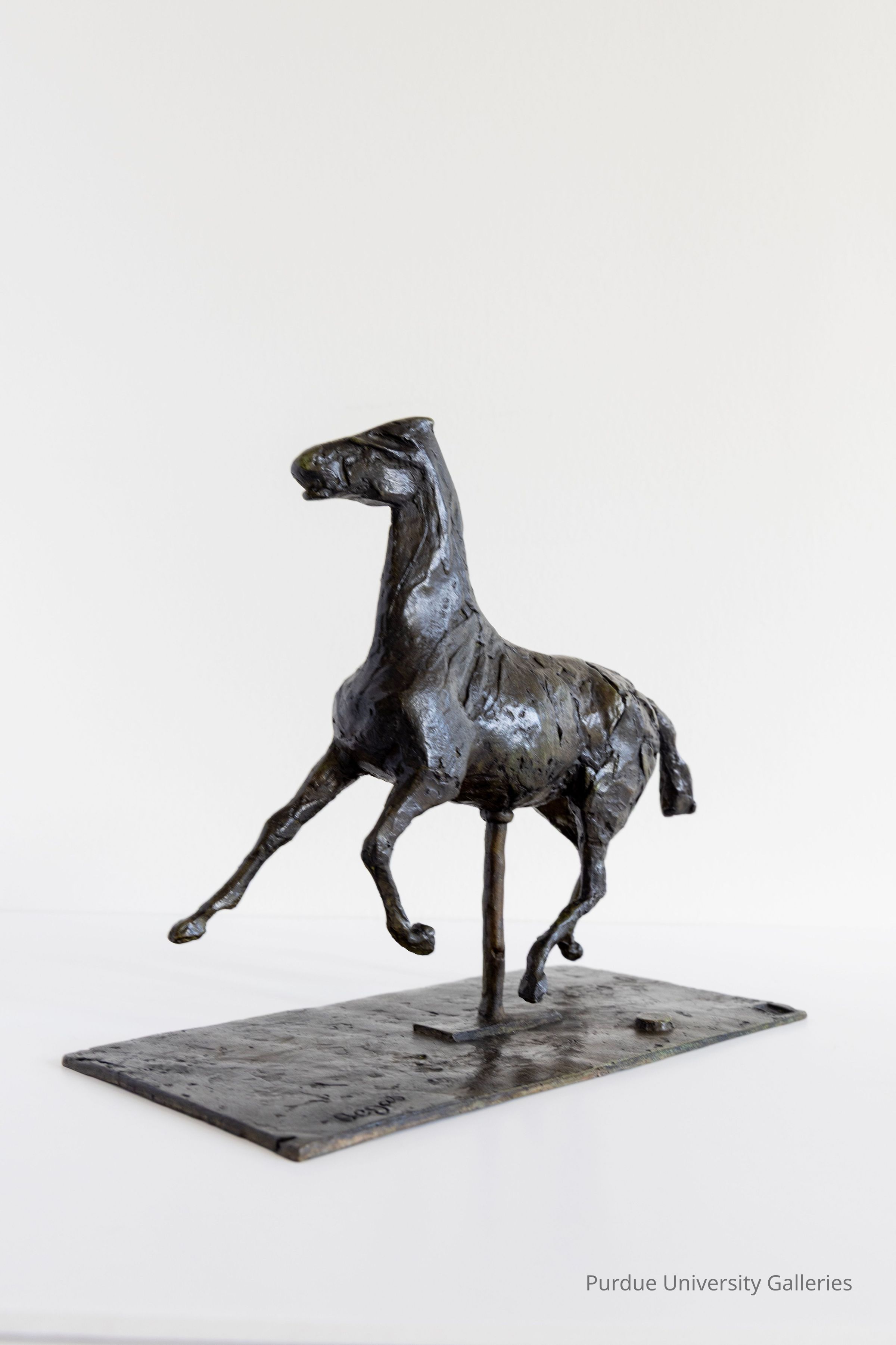 © Purdue University Galleries/Eli Craven and Bayan Yunis