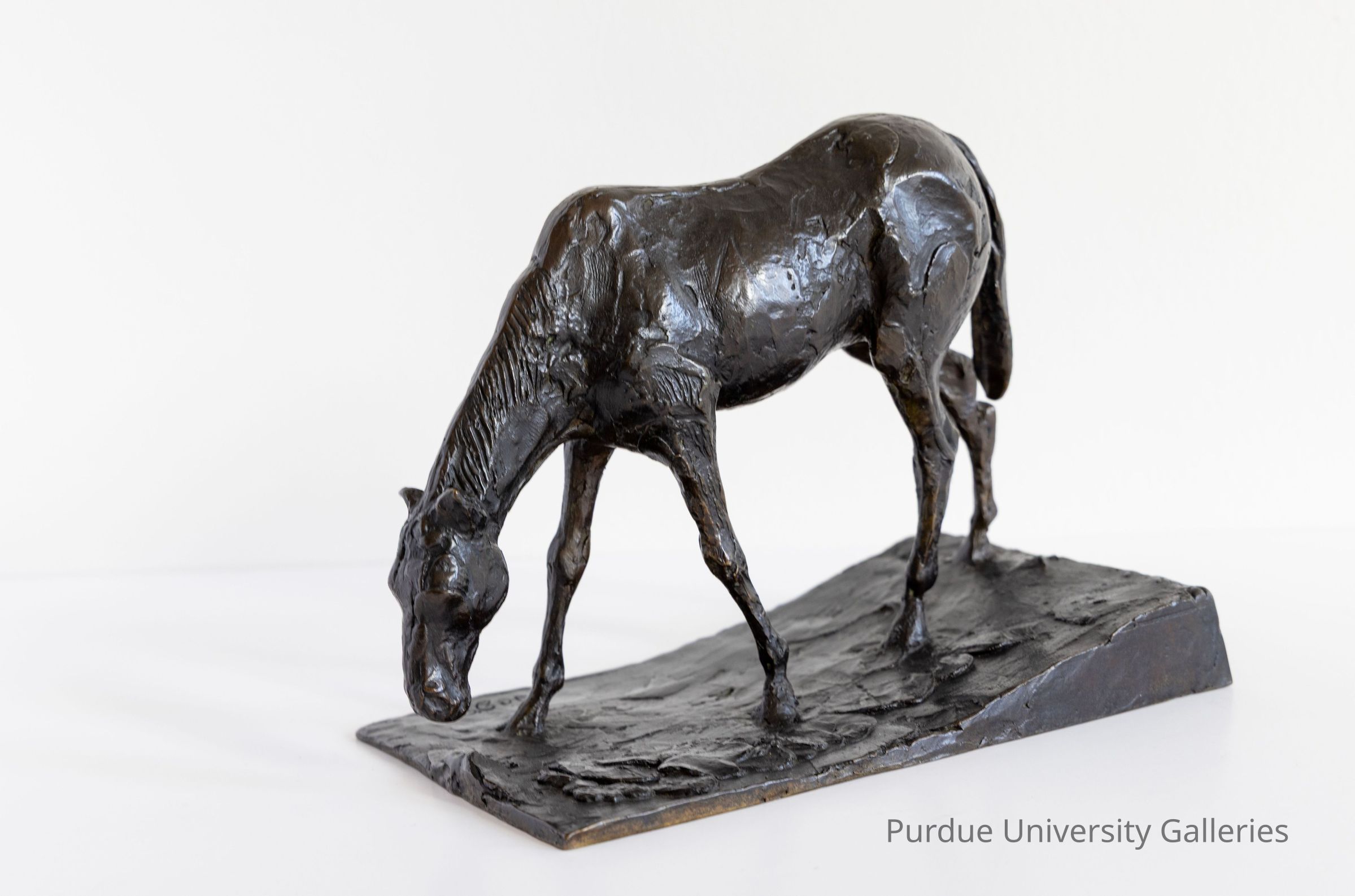 © Purdue University Galleries/Eli Craven and Bayan Yunis