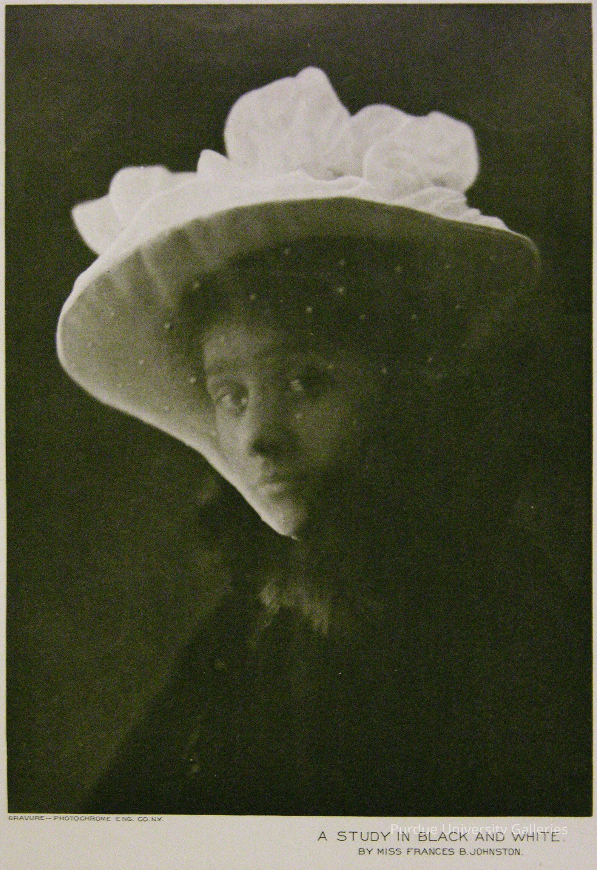 A Study in Black and White picture number 1