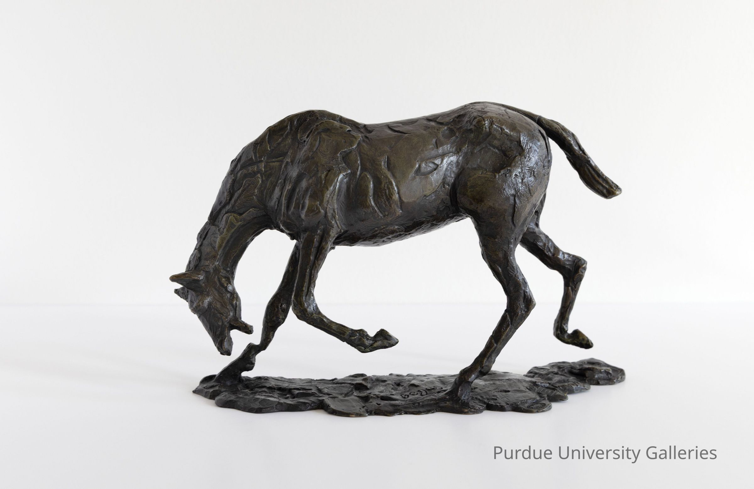 © Purdue University Galleries/Eli Craven and Bayan Yunis