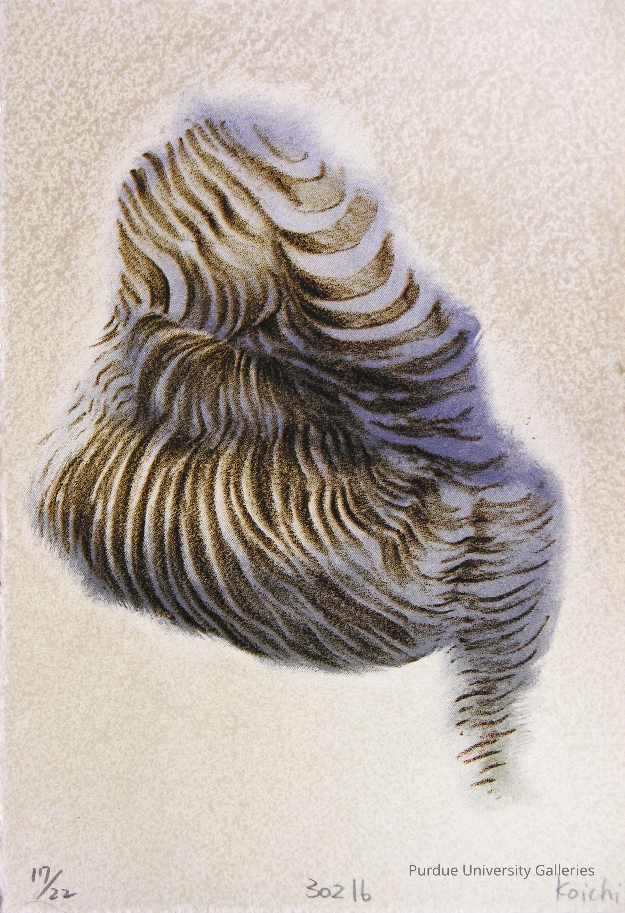 302 lb picture number 1