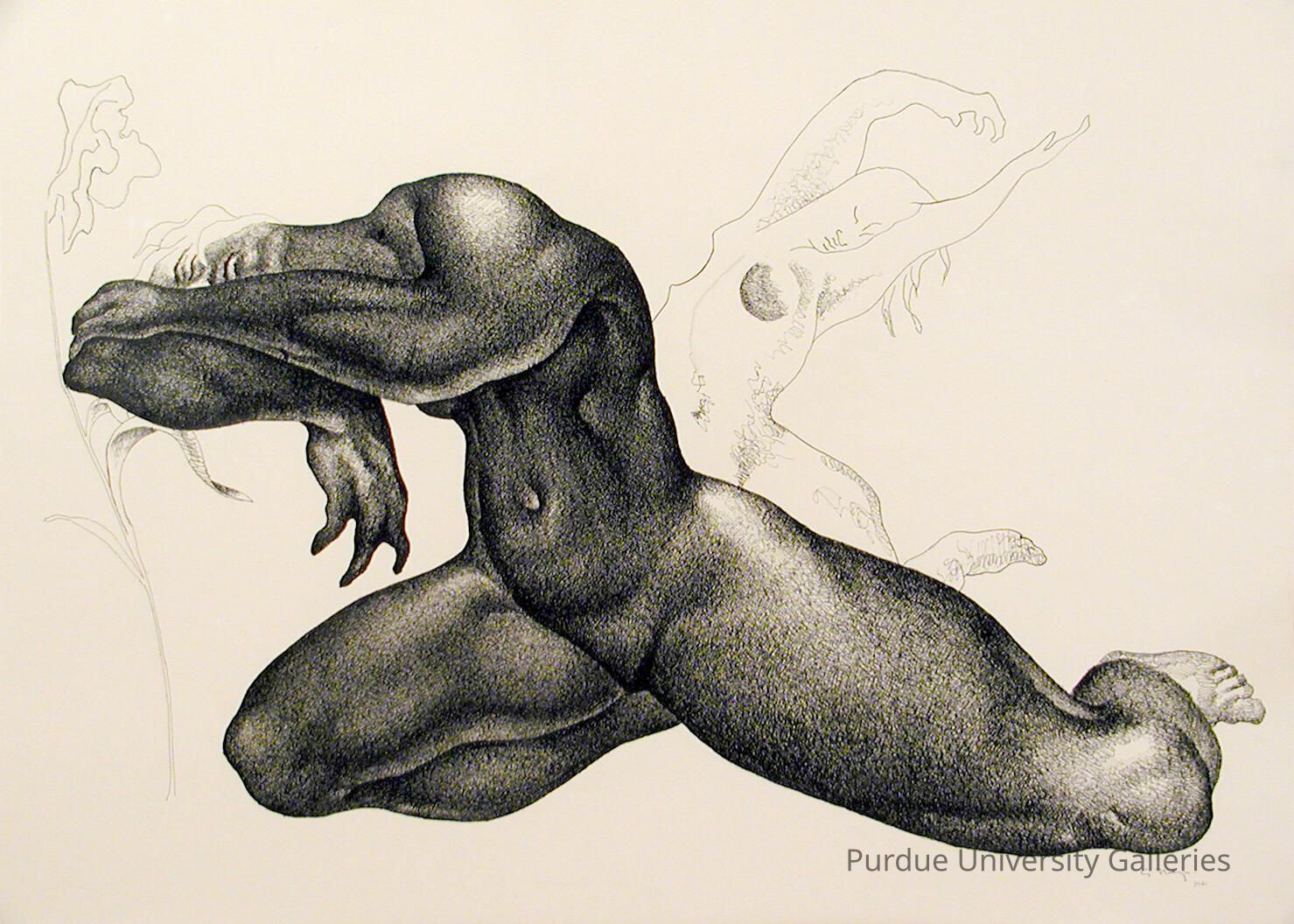 Dream of the Dance picture number 1
