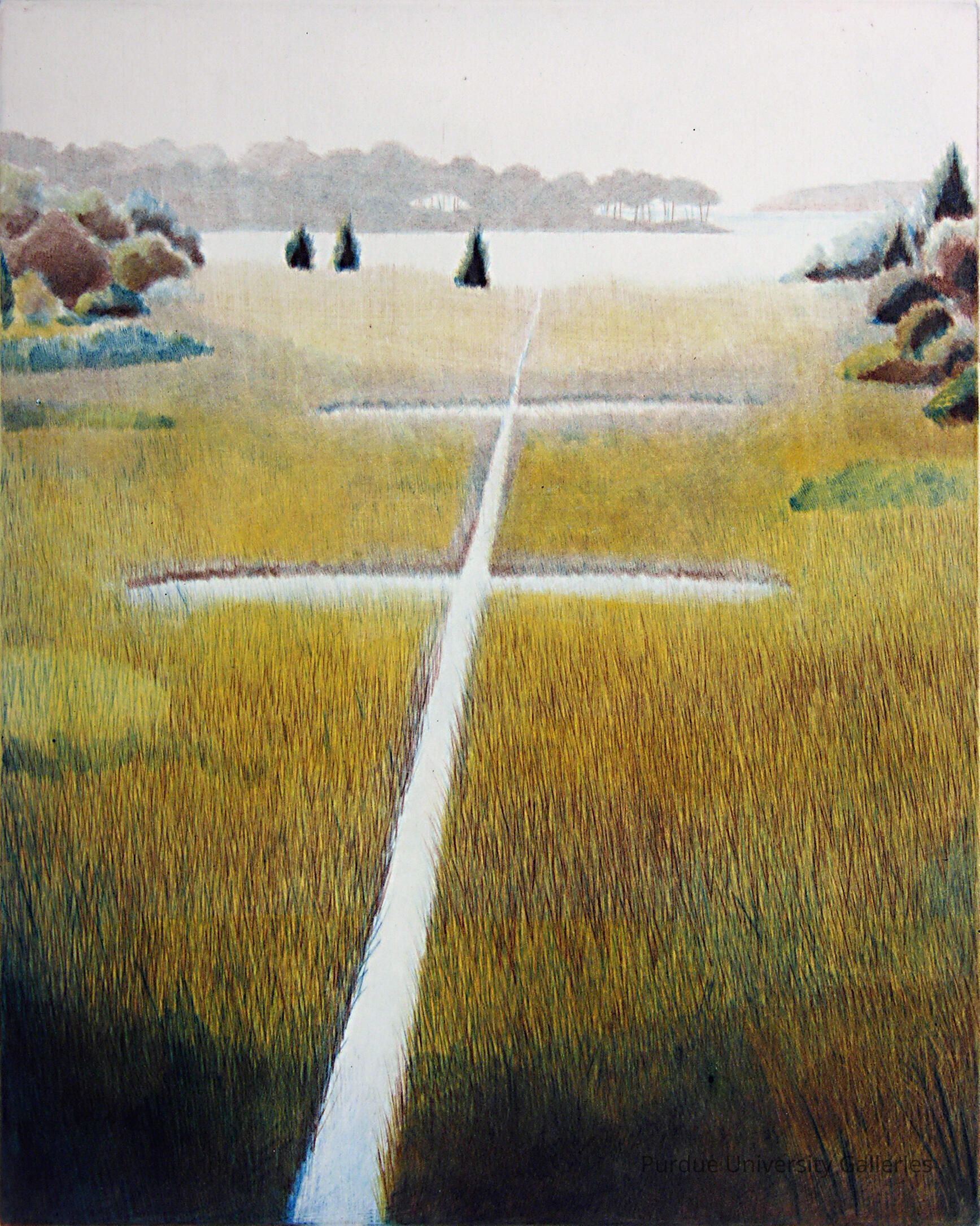 Avenue of Grass, An picture number 1