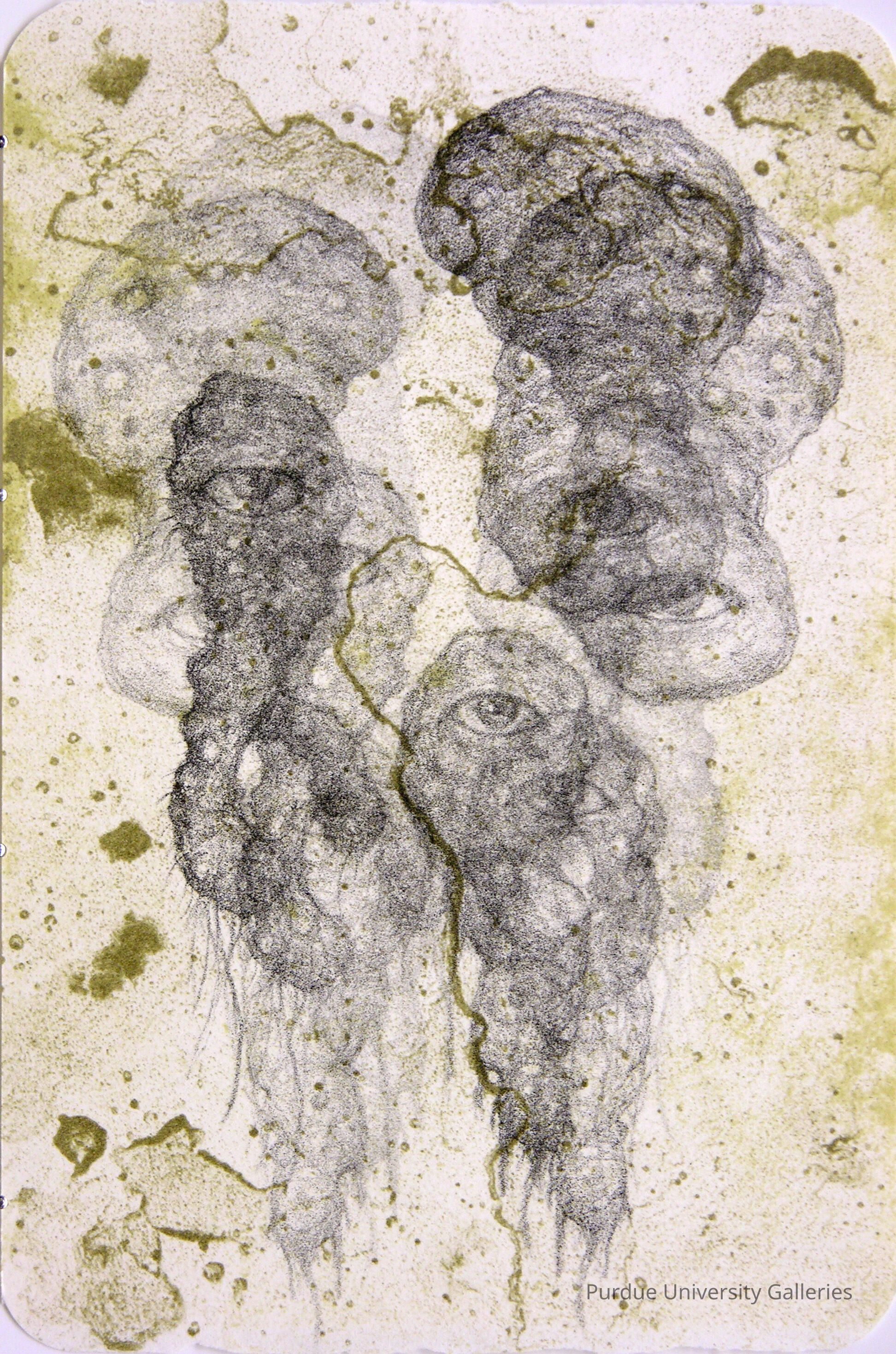 Specimen picture number 1