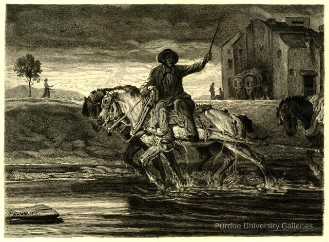Boat Horses picture number 1