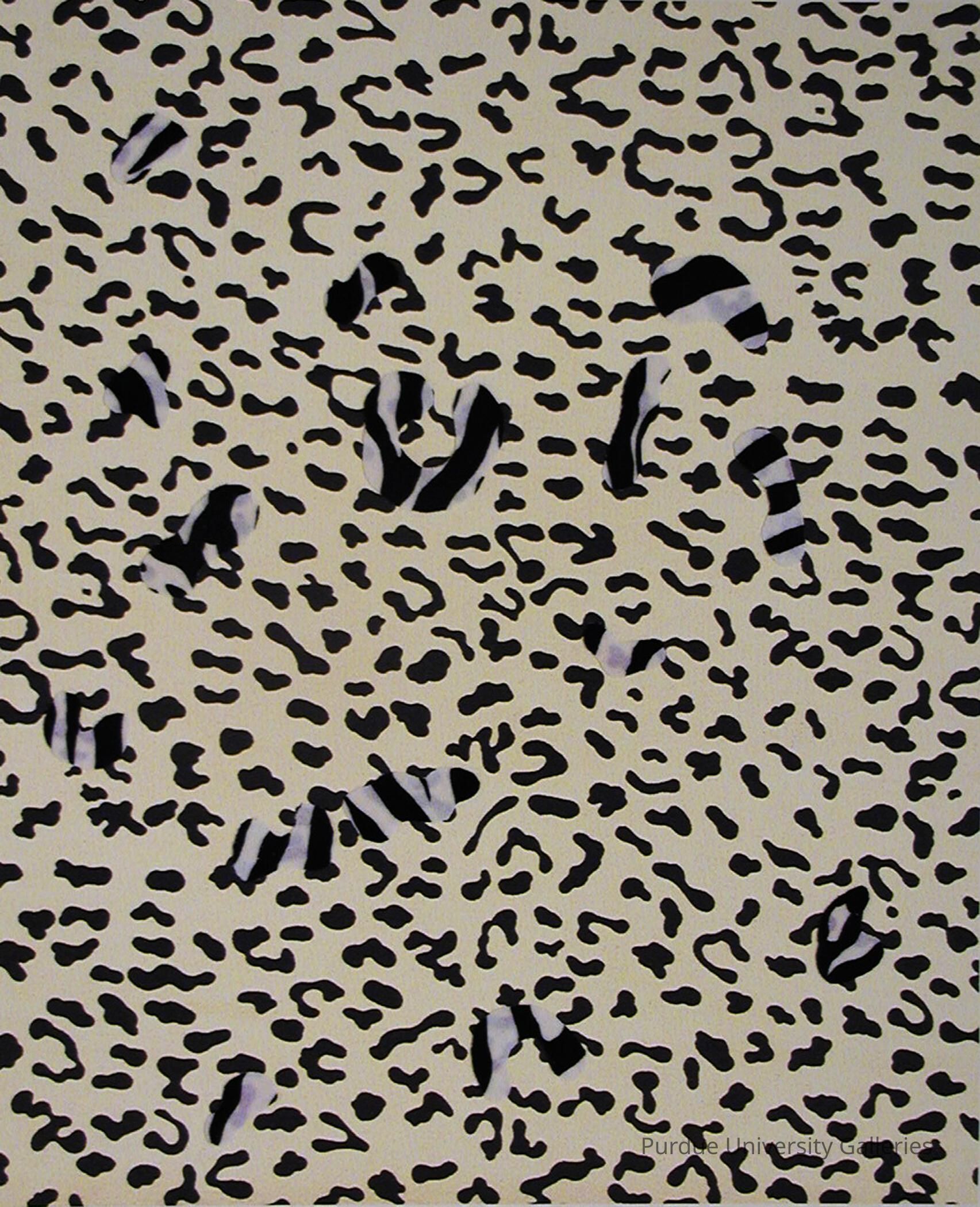 Camoflage Series: Change Your Spots and Run picture number 1