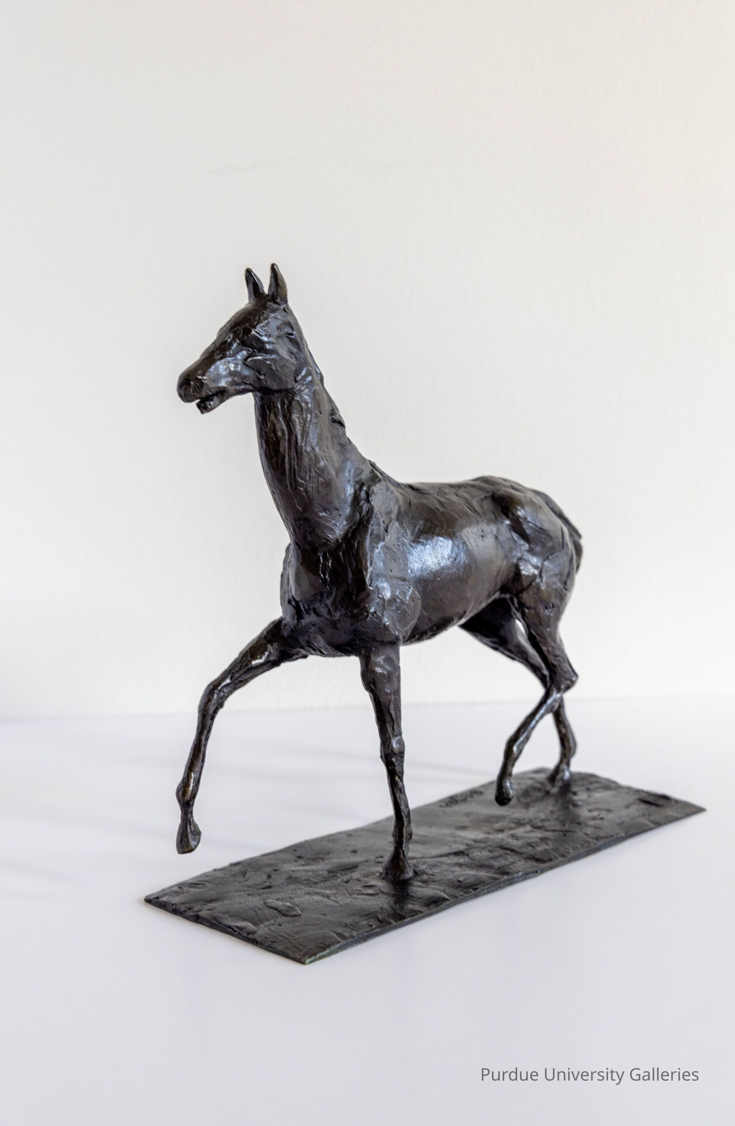 © Purdue University Galleries/Eli Craven and Bayan Yunis