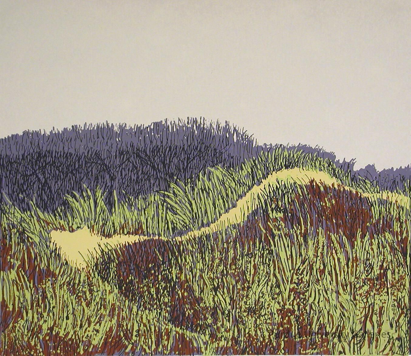 Dunes, South Shore picture number 1