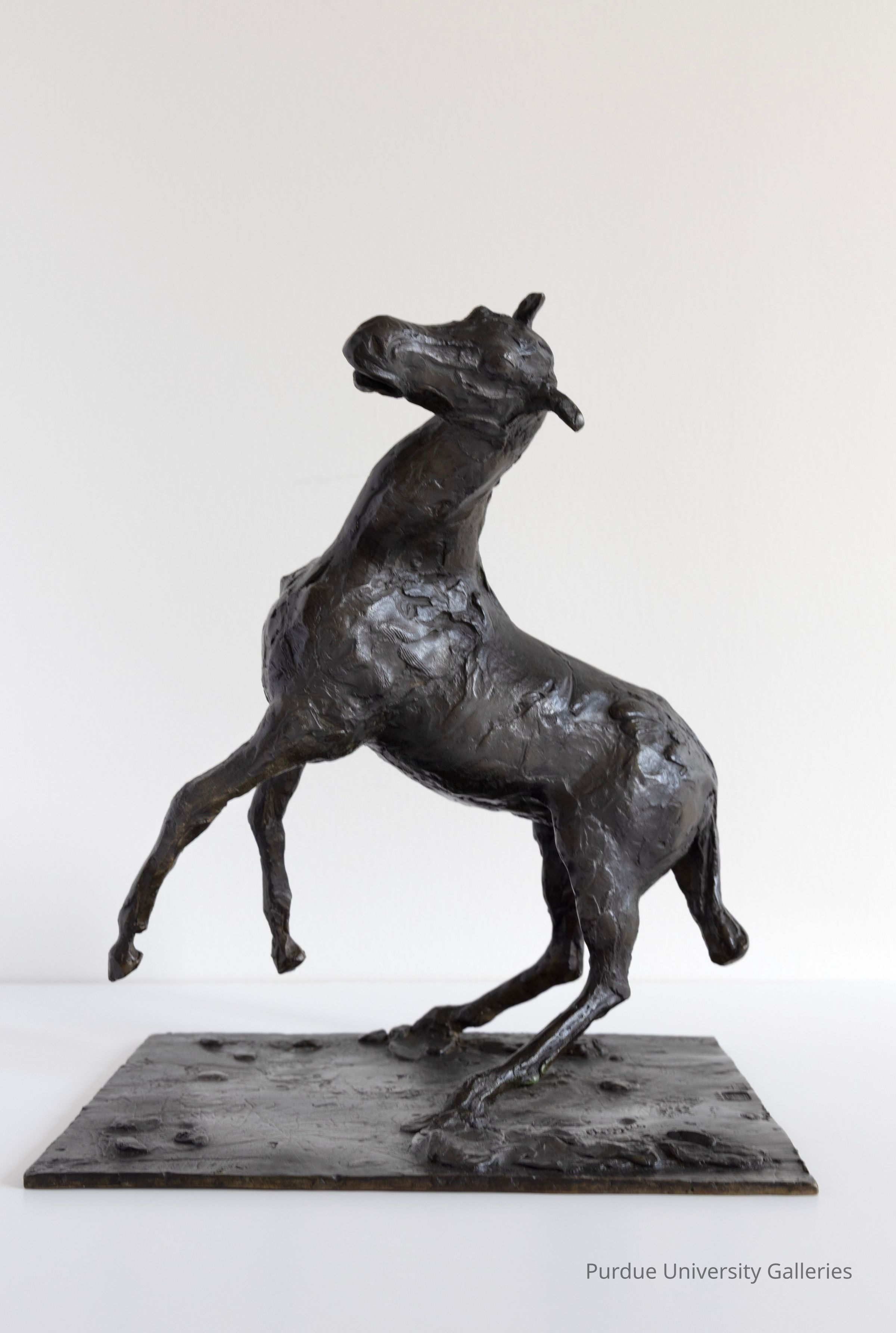 © Purdue University Galleries/Eli Craven and Bayan Yunis